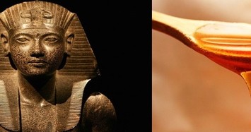 Người hầu của pharaoh Ai Cập thường bôi mật ong lên người để làm gì?