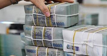 Hồ Sơ bất động sản Vinam Land 'âm thầm' phát hành 1.500 tỷ trái phiếu