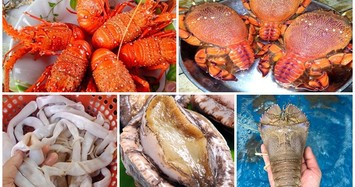 5 loại hải sản đắt đỏ ở các vùng biển đảo Việt Nam 