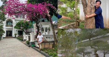 Đi xem vườn cây giá trị tiền tỷ trong biệt thự của nghệ sĩ Quang Tèo