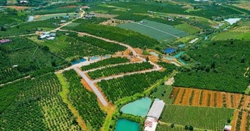Danh sách 19 dự án đất nền tại Lâm Đồng bị khẩn trương rà soát pháp lý 