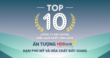 TOP 10 công ty đại chúng hiệu quả nhất năm 2023: Ấn tượng HDBank, Đạm Phú Mỹ  