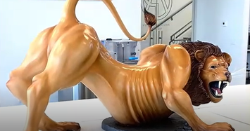 Video: Chiêm ngưỡng sư tử khổng lồ bằng chocolate