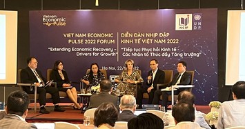 2 kịch bản tăng trưởng của kinh tế Việt Nam năm 2023