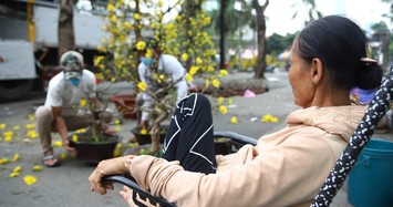 Buôn bán ế ẩm, tiểu thương cắt trụi mai tết ở Sài Gòn