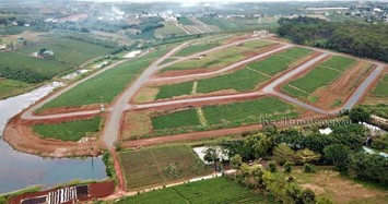 Lâm Đồng rà soát toàn bộ các khu vực hiến đất làm đường để phân lô bán nền 