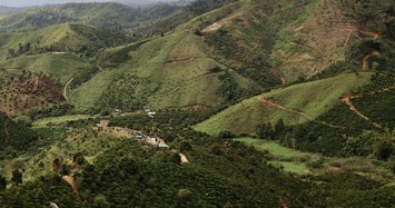 Vụ mất rừng ở Đắk Nông: Mất 2.000 ha, chỉ phát hiện được 6 ha rừng bị phá