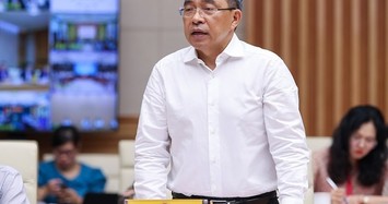 Chủ tịch HĐQT Vinhomes Phạm Thiếu Hoa. Ảnh: VGP/Nhật Bắc