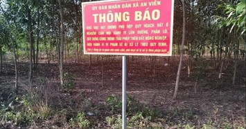 Tỉnh Đồng Nai yêu cầu kiểm tra xử lý 'điểm nóng' sai phạm đất đai ở Trảng Bom
