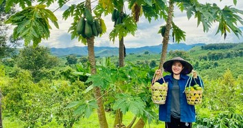 Cô giá xinh đẹp rời Sài Gòn sau 10 năm gắn bó về quê nuôi heo bản, trồng cây làm giàu 