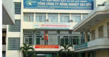 Sở Nội vụ đề xuất TPHCM đề xuất kỷ luật ông Phạm Tuấn Hùng