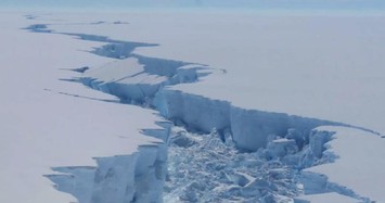 Tận mục sự sống kỳ ảo dưới thềm băng dày ở Nam Cực