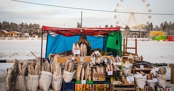 Thú vị khu chợ bán cá thịt mà không cần ướp đá