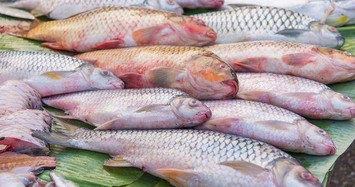 5 loại cá  nếu ăn nhiều sẽ khiến gan thận hỏng hết 