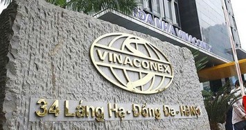 Vinaconex dự chi hơn 500 tỷ đồng trả cổ tức 
