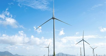 REE lập thêm công ty điện gió ở Trà Vinh trị giá gần 870 tỷ đồng
