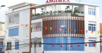 Angimex sắp lập 2 công ty con vốn 70 tỷ đồng