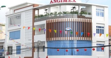 Một cá nhân bỏ gần 28 tỷ đồng trở thành cổ đông lớn của Angimex