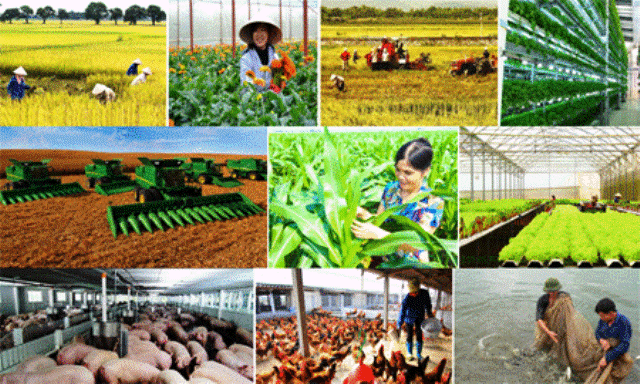 Cổ phiếu ngành Nông nghiệp: Lựa chọn nào cho năm 2023?