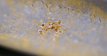 Có một loại vi khuẩn có thể biến kim loại thành vàng