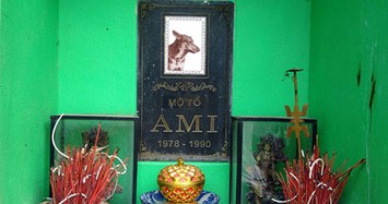 Chuyện chưa kể về ngôi mộ “chó tổ” duy nhất tại Việt Nam