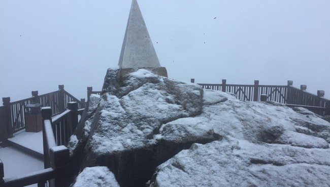 Cận cảnh tuyết rơi dày đặc trên đỉnh Fansipan