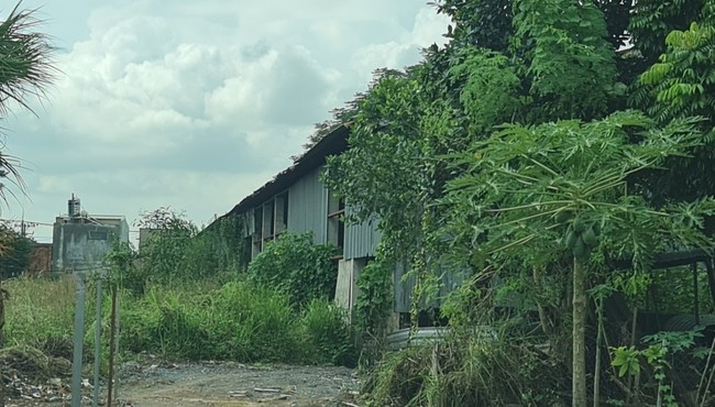 Hố Nai 3 (Trảng Bom – Đồng Nai): Nhà xưởng bỏ hoang nhiều năm vì sao công ty Hoa Nghi không bị thu hồi đất?