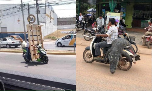Không đâu như Việt Nam, dân “làm xiếc” trên đường với xe máy