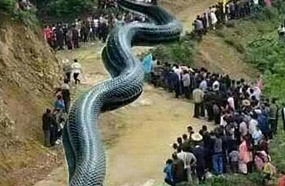 Sờ gáy người đàn ông nói động đất do con rắn khổng lồ dài 120m trồi lên mặt nước 