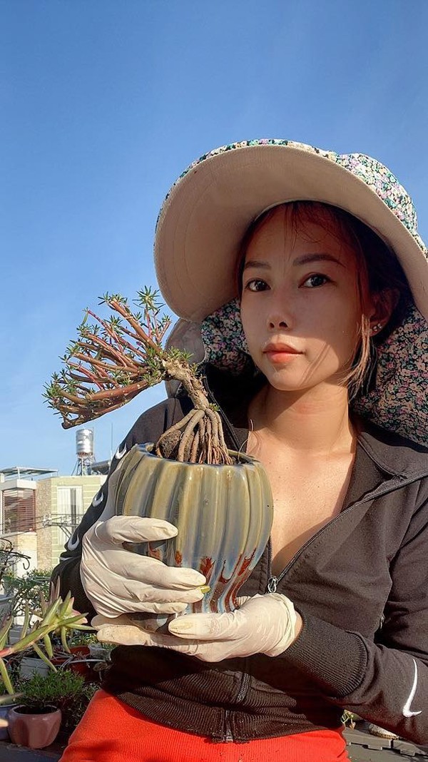 Hoa muoi gio len chau bonsai co gia nua trieu dong/cay-Hinh-6